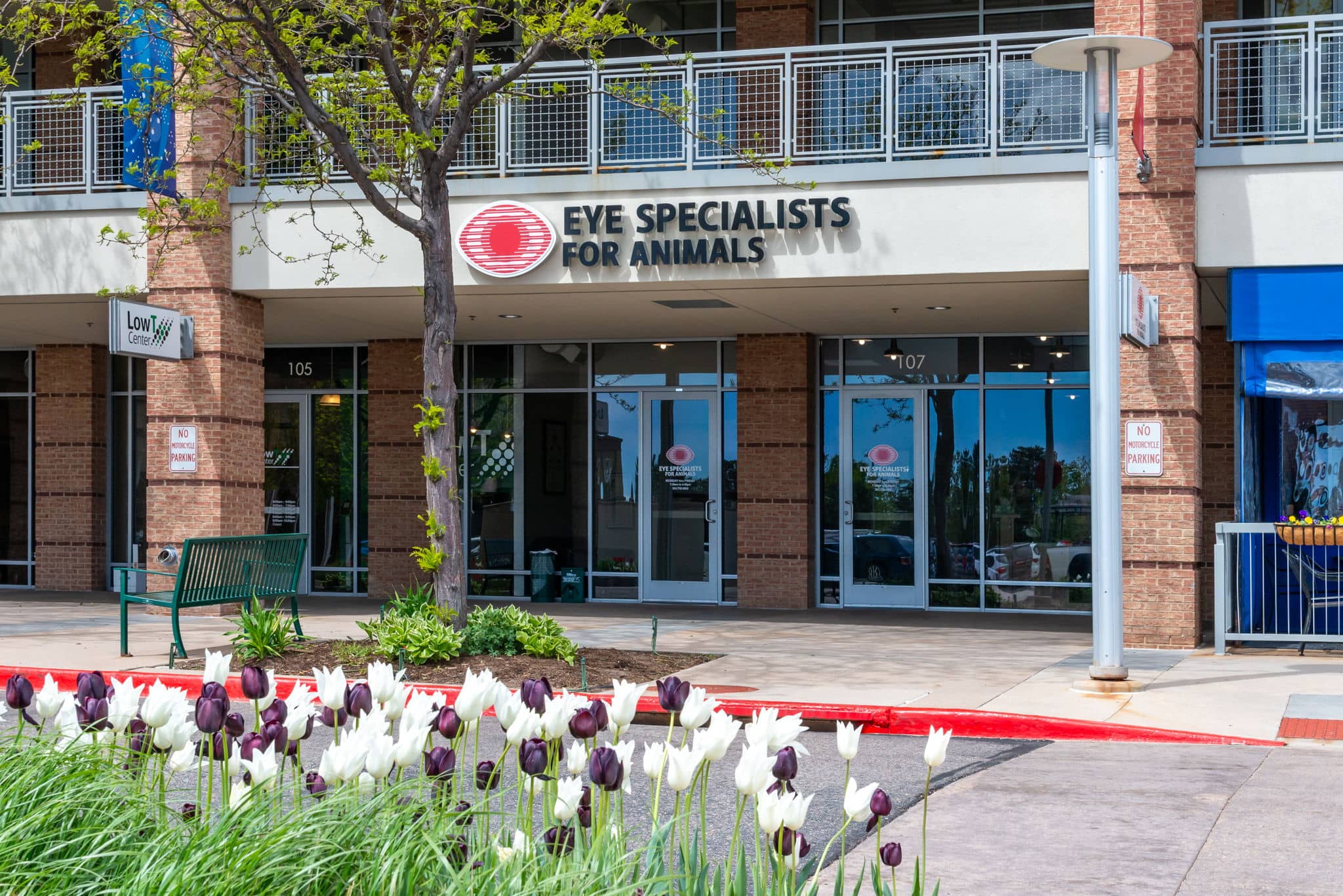 Eye Specialist for Animals storefront with flower bed showing