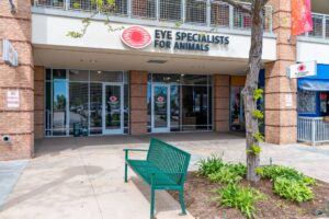 Eye Specialist for Animals storefront with bench showing